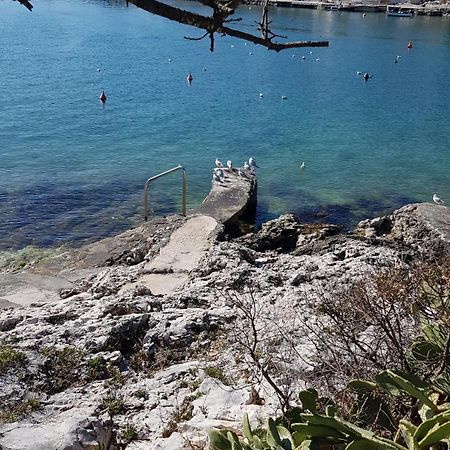 Villa Maja Τρογκίρ Εξωτερικό φωτογραφία