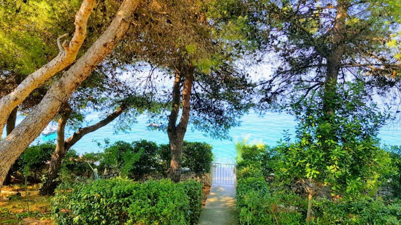 Villa Maja Τρογκίρ Εξωτερικό φωτογραφία